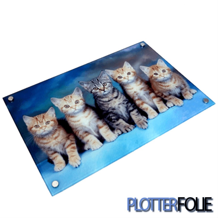 Sublimatie glazen paneel 40x25cm incl bevestiging
