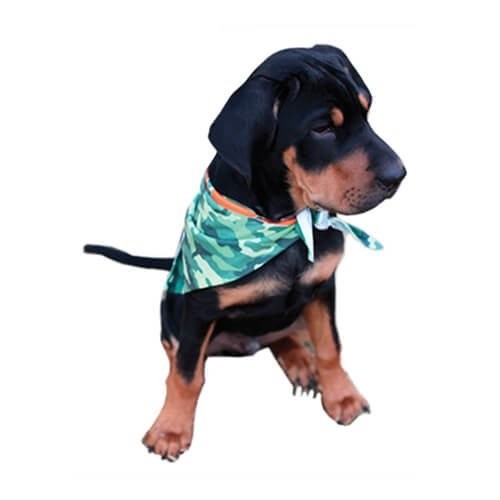 Honden bandana 4 maten