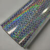 Holografisch Vinyl Rozen