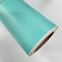 Pastel Vinyl