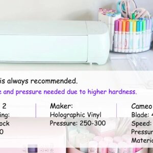 Glitter Brush Vinyl Black Multicolor